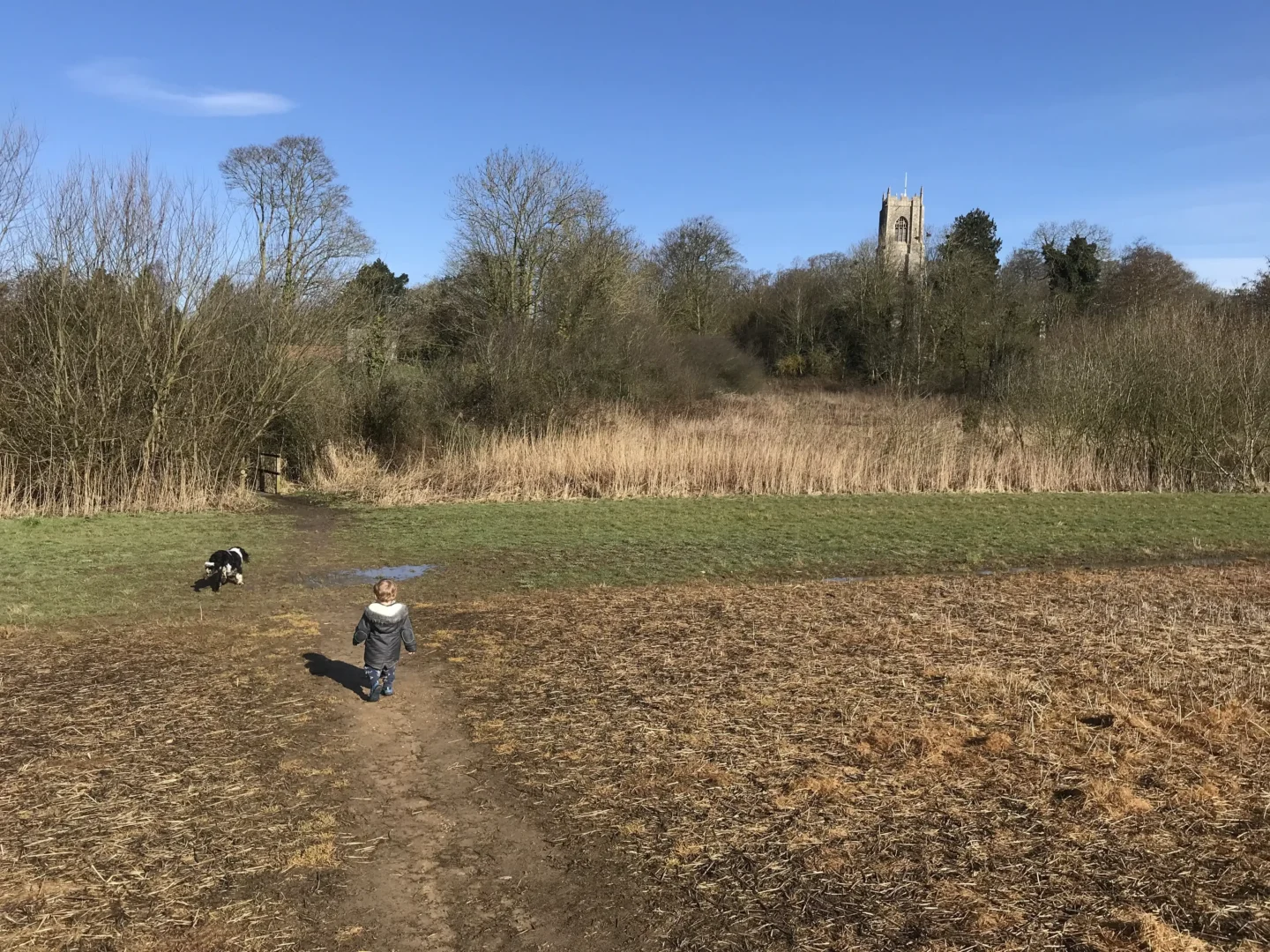 A child walks along a dirt path in a grassy field with a dog nearby; trees and a tall stone building are visible in the background under a clear blue sky.